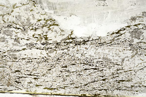 Plane Polarized, S87764