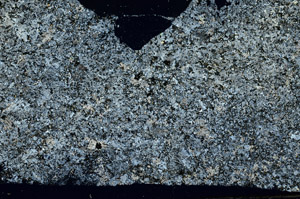 Cross Polarized, S87769