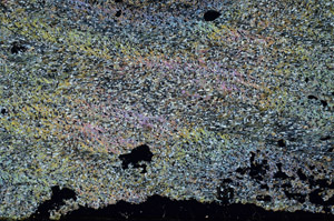 Cross Polarized, S87771