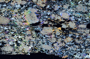 Cross Polarized, S87775