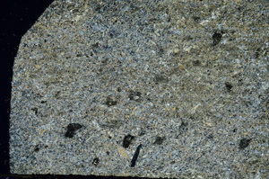 Cross Polarized, S87778