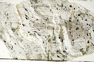 Plane Polarized, S87781