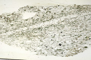 Plane Polarized, S87782
