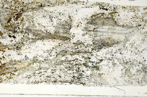 Plane Polarized, S87785