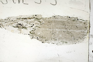 Plane Polarized, S87787