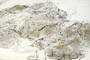 Plane Polarized, S87791