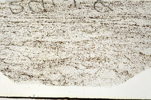 Plane Polarized, S87813