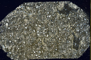 Cross Polarized, S87814