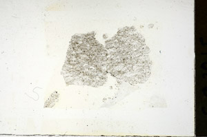 Plane Polarized, S87815