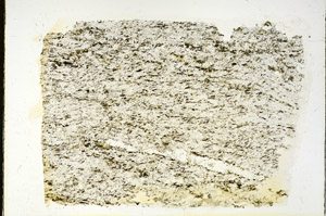 Plane Polarized, S87817