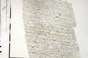 Plane Polarized, S87820