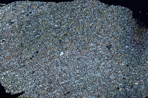 Cross Polarized, S87821