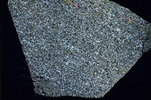 Cross Polarized, S87822