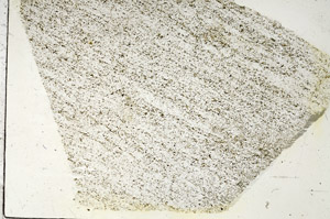 Plane Polarized, S87822