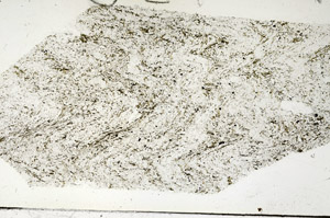 Plane Polarized, S87823