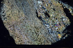 Cross Polarized, S87824