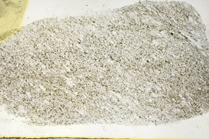 Plane Polarized, S87828