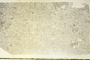 Plane Polarized, S87831