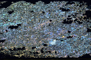 Cross Polarized, S87832