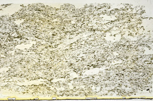 Plane Polarized, S87832