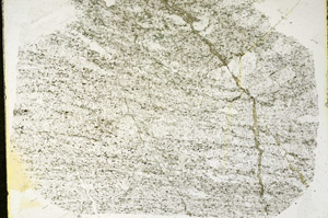 Plane Polarized, S87833