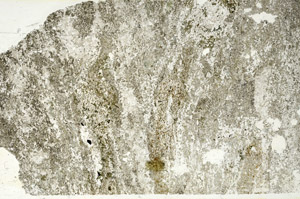 Plane Polarized, S87835