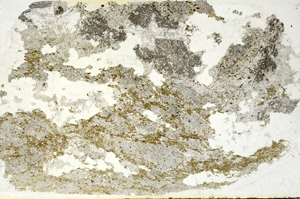 Plane Polarized, S87837
