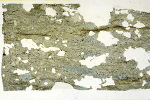 Plane Polarized, S87841