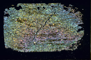 Cross Polarized, S87843