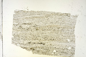 Plane Polarized, S87844