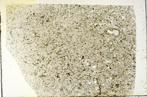 Plane Polarized, S87852