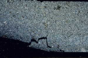 Cross Polarized, S87854