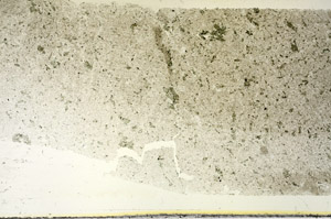 Plane Polarized, S87854