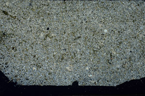 Cross Polarized, S87855