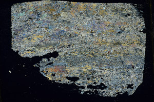 Cross Polarized, S87858