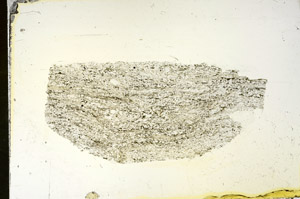 Plane Polarized, S87861