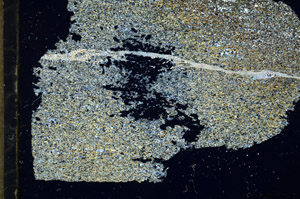 Cross Polarized, S87863