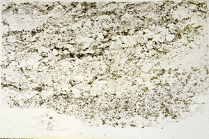 Plane Polarized, S87872