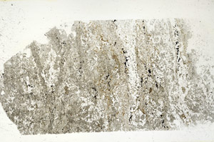 Plane Polarized, S87875