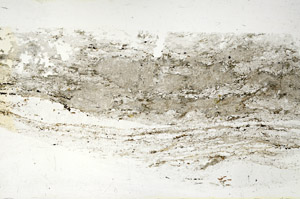 Plane Polarized, S87876