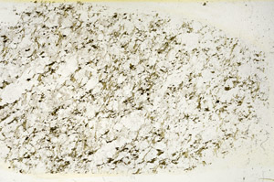 Plane Polarized, S87878/A