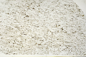 Plane Polarized, S87882