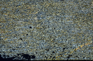 Cross Polarized, S87885