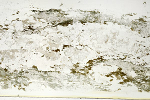Plane Polarized, S87892