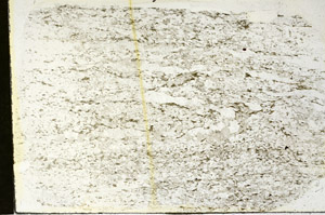 Plane Polarized, S87896