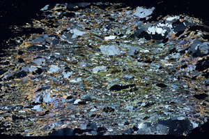 Cross Polarized, S87897
