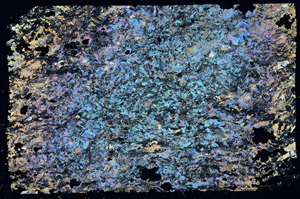 Cross Polarized, S87899