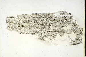 Plane Polarized, S87970