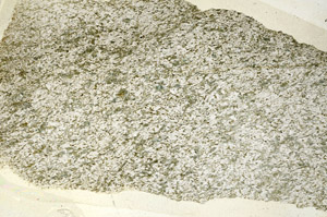 Plane Polarized, S87971