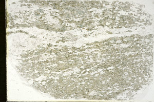 Plane Polarized, S87973